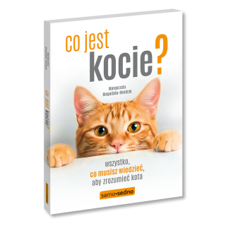 Co jest kocie? Wszystko, co musisz wiedzieć,...